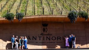 NEW: Wines from Our Visit to the Antinori Winery