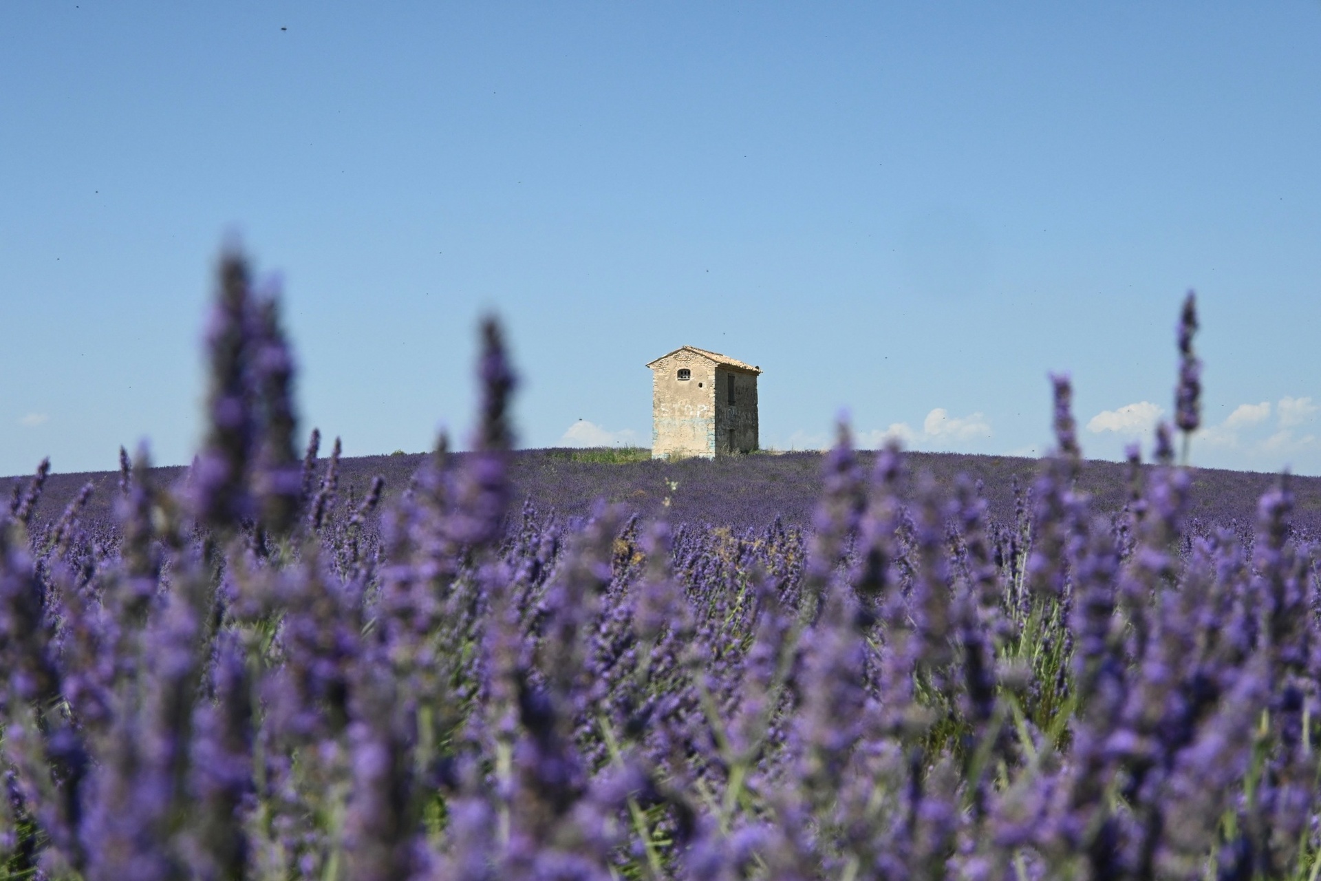 BRIX in Provence - International experiences by BRIX – Image 3