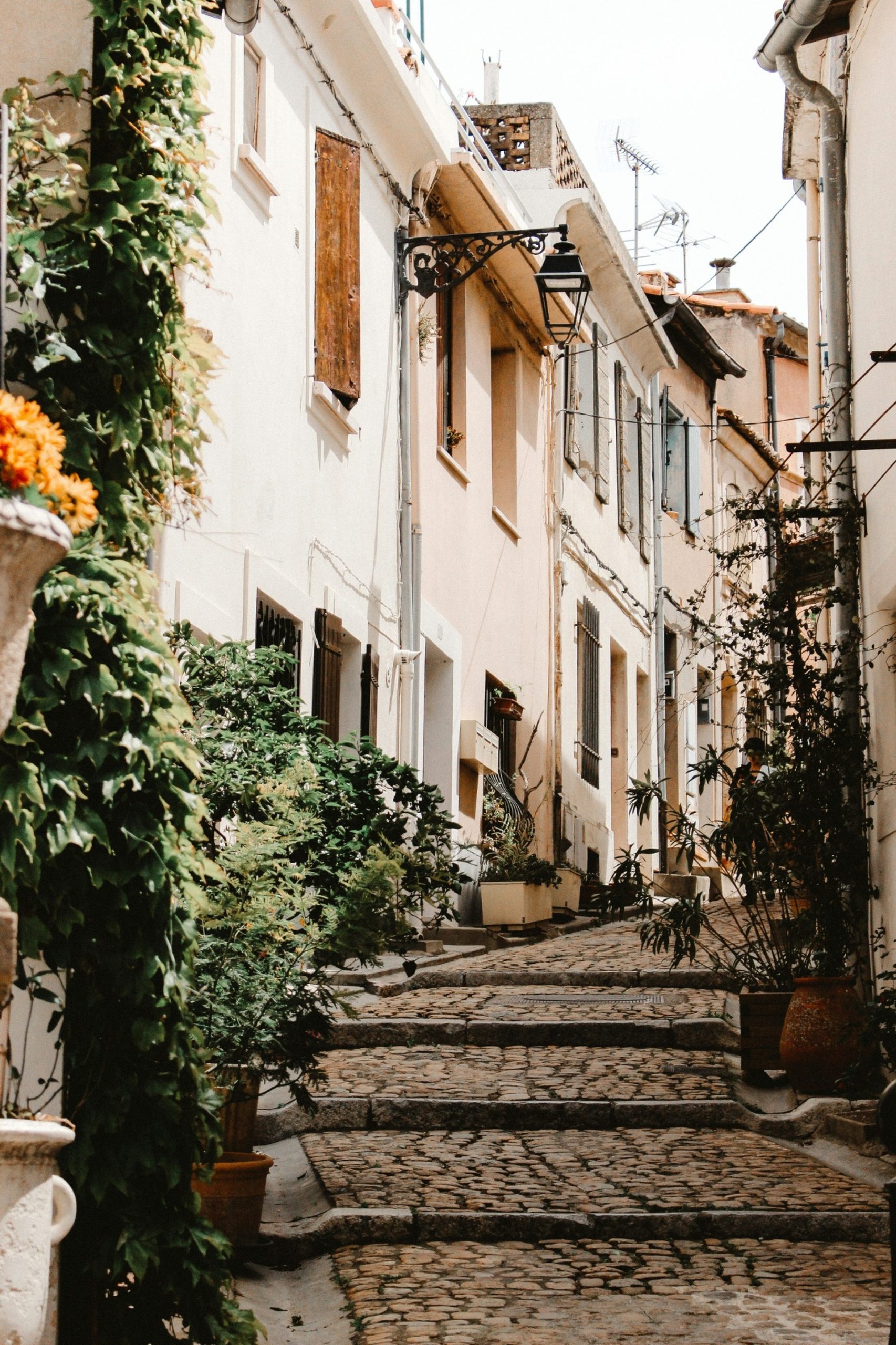 BRIX in Provence - International experiences by BRIX – Image 2