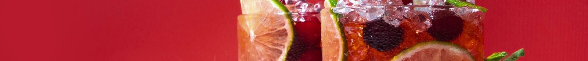 Cranberry Mint Mojito