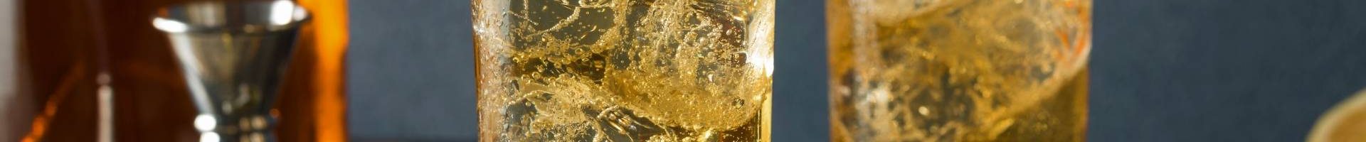Japanese Whiskey Highball