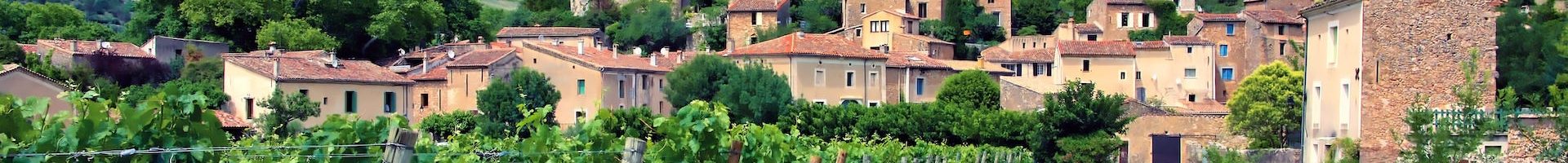 Languedoc-wine-vineyard_1123768688