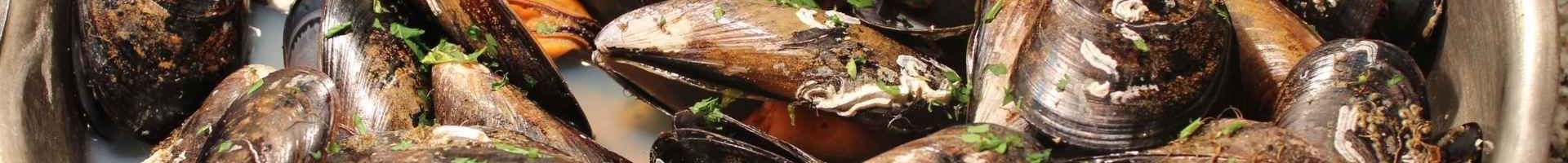mussels marieniere